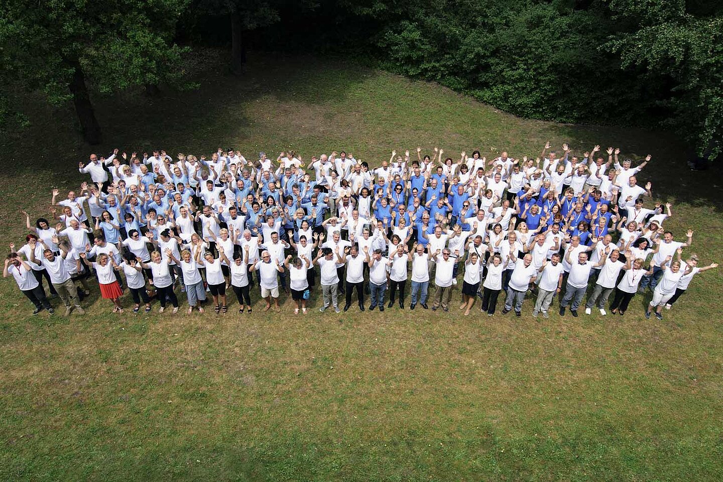Ahorn Gruppe(nfoto)